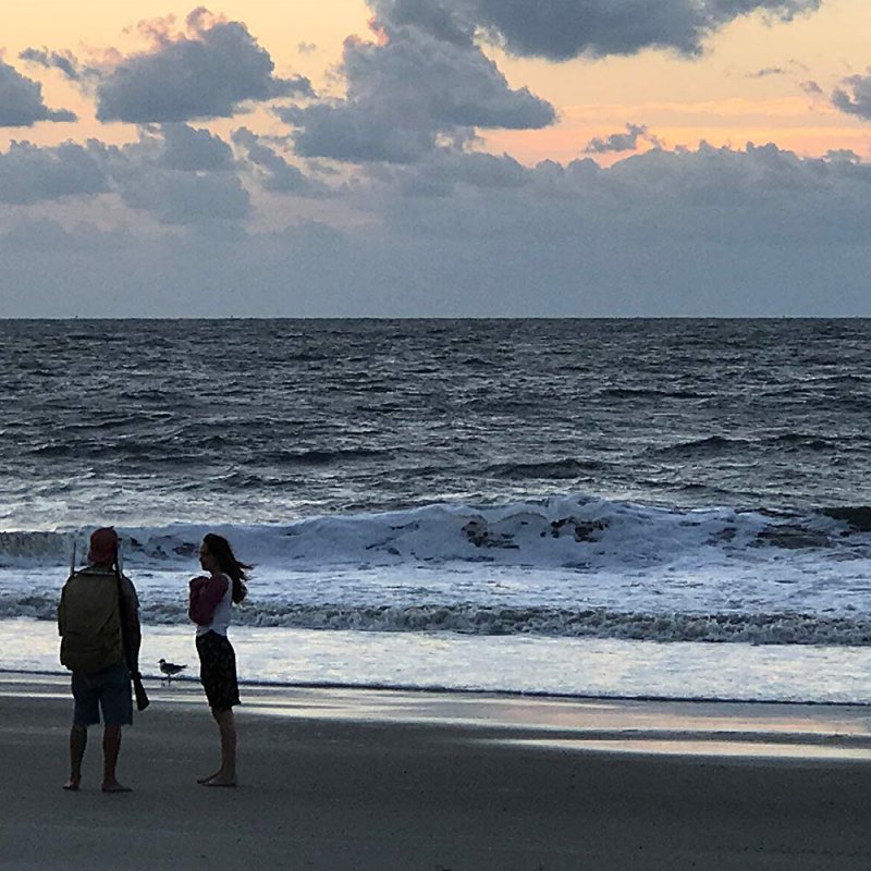 The Peanut Butter Falcon La Familia Que Tu Eliges 2019