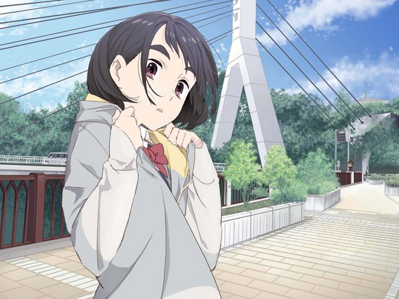 Sora No Aosa O Shiru Hito Yo Her blue sky - (Sora no aosa o shiru hito yo) (2019)
