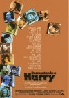 DESMONTANDO A HARRY