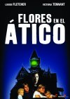 FLORES ATICO