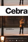 CEBRA