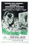 NIGHTMARE IN WAX