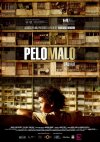 PELO MALO