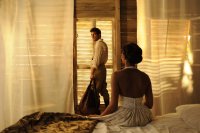 PALMERAS EN LA NIEVE