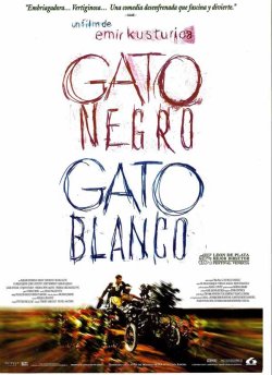 GATO NEGRO GATO BLANCO