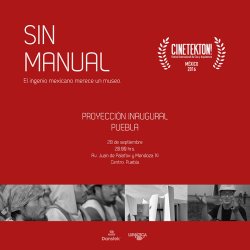 SIN MANUAL