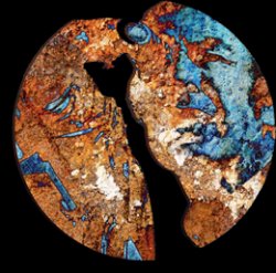 NOMINACIONES A LOS PREMIOS FORQUÉ 2018