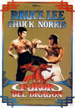 EL FUROR DEL DRAGÓN EL FUROR DEL DRAGÓN