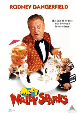 LOS LÍOS DE WALLY SPARKS