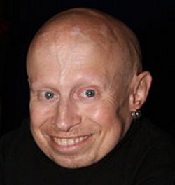 VERNE TROYER