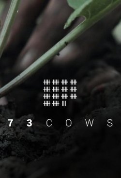 73 COWS