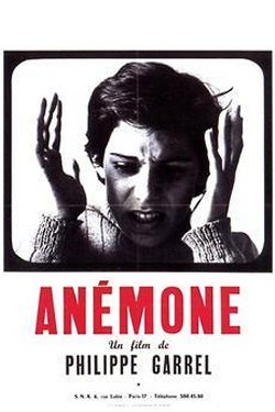 ANÉMONE