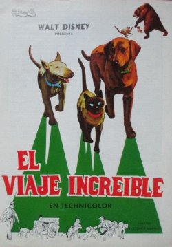 EL VIAJE DE INCREÍBLE