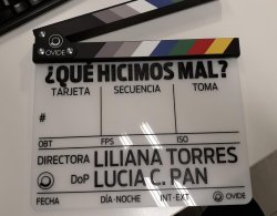 LILIANA TORRES RUEDA QUÉ HICIMOS MAL?
