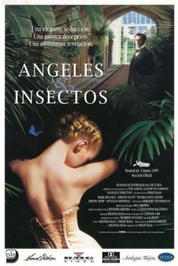 ÁNGELES E INSECTOS