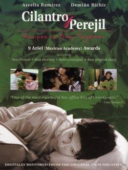 CILANTRO Y PEREJIL