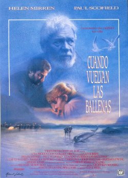 CUANDO VUELVAN LAS BALLENAS