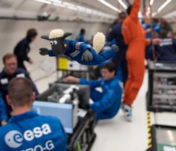 LA OVEJA SHAUN FESTEJA EL 50 ANIVERSARIO DE LA LLEGADA A LA LUNA