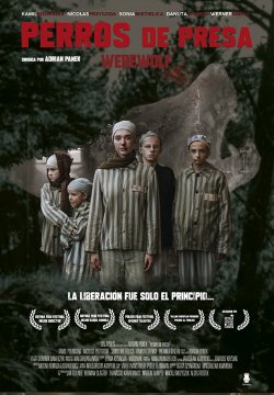 PERROS DE PRESA