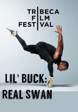 LIL' BUCK: REAL SWAN LIL' BUCK REAL SWAN