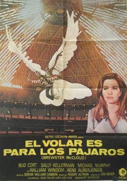 EL VOLAR ES PARA LOS PÁJAROS