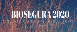 BIOSEGURA CINE RECIBE 335 PELÍCULAS EN SU XIX EDICIÓN