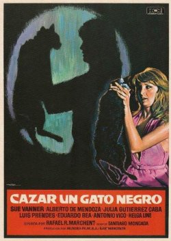 CAZAR UN GATO NEGRO