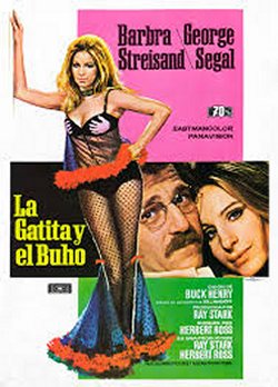 LA GATITA Y EL BÚHO