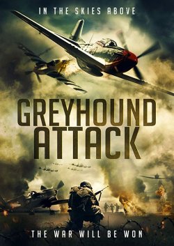 GREYHOUND ATTACK