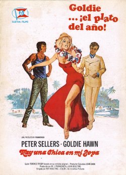 HAY UNA CHICA EN MI SOPA