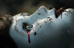 THE BOY: LA MALDICIÓN DE BRAHMS EN LA MUESTRA SYFY