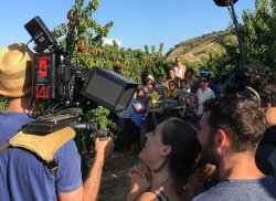 CARLA SIMÓN RODARÁ SU NUEVO FILM ALCARRÁS EN 2021