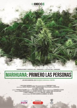 MARIHUANA: PRIMERO LAS PERSONAS