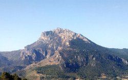 LA XXI EDICIÓN DE FIA EL YELMO SE SUSPENDE HASTA 2021