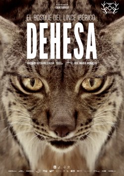 DEHESA: EL BOSQUE DEL LINCE IBÉRICO