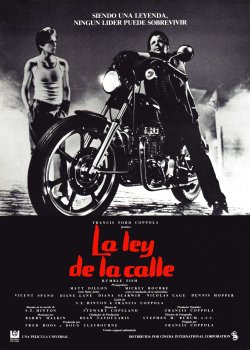 LA LEY DE LA CALLE