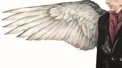 PRESENTACIÓN DEL 17 FESTIVAL DE CINE EUROPEO DE SEVILLA