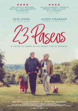 23 PASOS