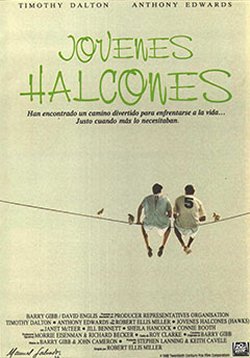 JÓVENES HALCONES