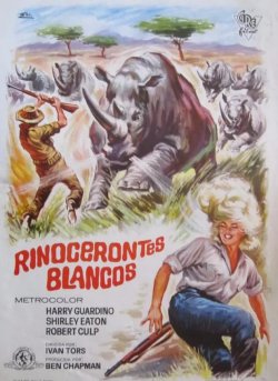 RINOCERONTES BLANCOS