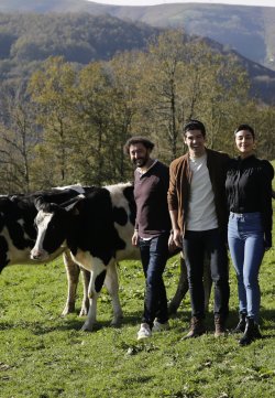 DOS VACAS Y UNA BURRA