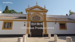 GECA Y FUNDACIÓN SGAE PREMIAN A ACCEPTUS PRODUCCIONES