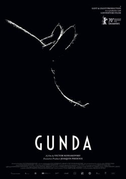 GUNDA
