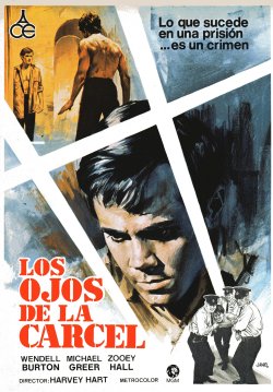 LOS OJOS DE LA CÁRCEL