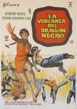 LA VENGANZA DEL DRAGÓN NEGRO