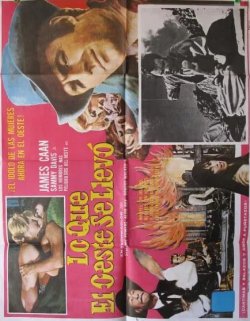 LO QUE EL OESTE SE LLEVÓ