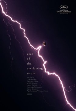 THE YEAR OF THE EVERLASTING STORM