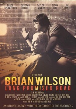 BRIAN WILSON: LONG PROMISED ROAD