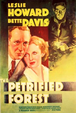 EL BOSQUE PETRIFICADO