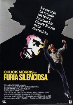FURIA SILENCIOSA